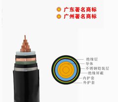 鎧裝珠江南方一線電纜YJV22